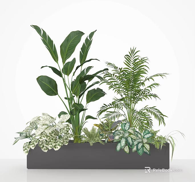 Various Green Potted Plants With Large Leaves Ferns And Variegated Foliage In Decorative Planter 3d model 