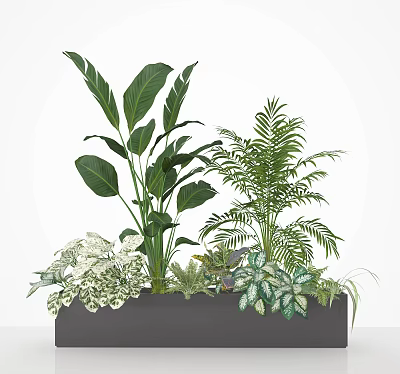 Various Green Potted Plants With Large Leaves Ferns And Variegated Foliage In Decorative Planter 3d model