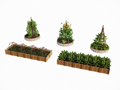 Crops Garden Vegetables Fruits and Vegetables Vegetable Field Planting Box Vegetable Box Climbing Rack Pastoral Tools Vegetable Planting Box 3d model