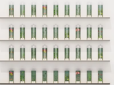 Transparent Cylindrical Containers With Plants Neatly Arranged On Multiple Shelves 3d model
