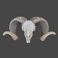 Detailed Ram Skull With Large Curved Horns Isolated On Black Background