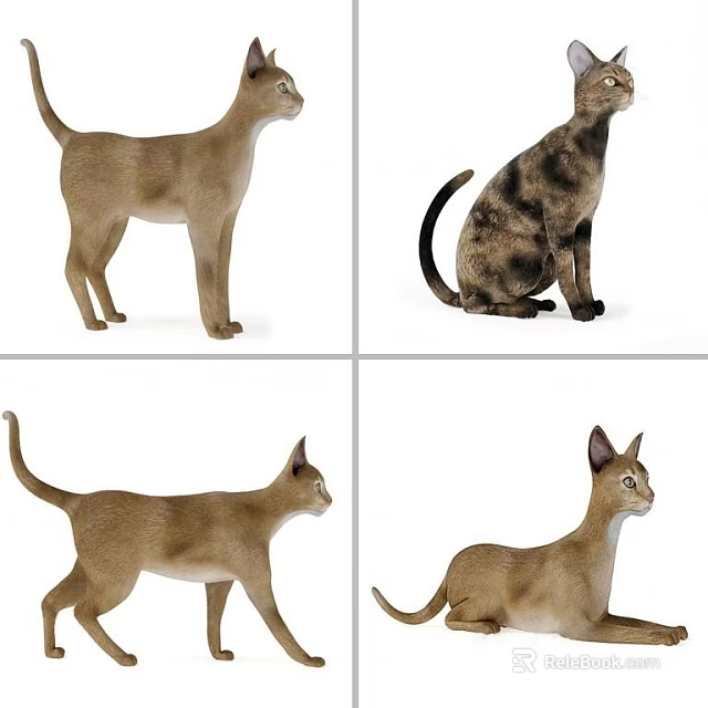 Realistic Reptile Toy Models Showing Four Different Poses And Postures 3d model 