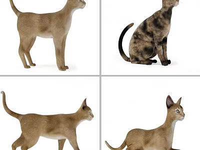 Realistic Reptile Toy Models Showing Four Different Poses And Postures 3d model
