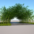 Lush Bamboo Archway Creating Scenic Pathway Through Green Grass Under Blue Sky