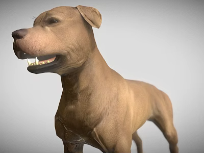 Realistic Brown Dog 3D Model With Detailed Fur And Expressive Features 3d model