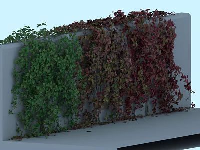 Colorful Climbing Vines Growing On Concrete Wall With Green Red And Brown Leaves 3d model