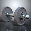 Sturdy Metallic Dumbbell With Adjustable Weight Plates And Metal Bar For Gym Workouts