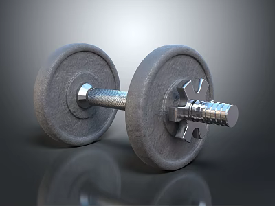 Sturdy Metallic Dumbbell With Adjustable Weight Plates And Metal Bar For Gym Workouts 3d model