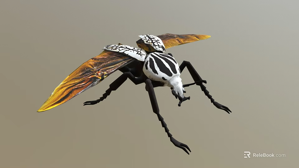 Black And White Striped Beetle With Orange Yellow Wings And Long Legs 3d model 