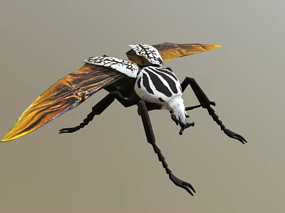 Black And White Striped Beetle With Orange Yellow Wings And Long Legs 3d model