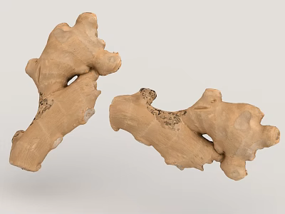 Organic Fresh Raw Ginger Whole Natural Root Pieces For Cooking Ingredients 3d model