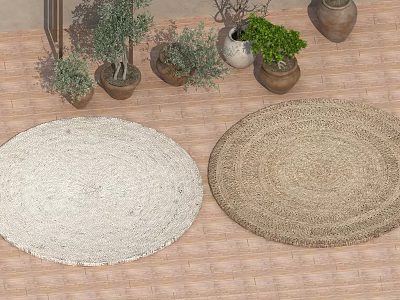 Woven Round Rugs White and Brown on Wooden Floor with Green Plants and Clay Pots 3d model