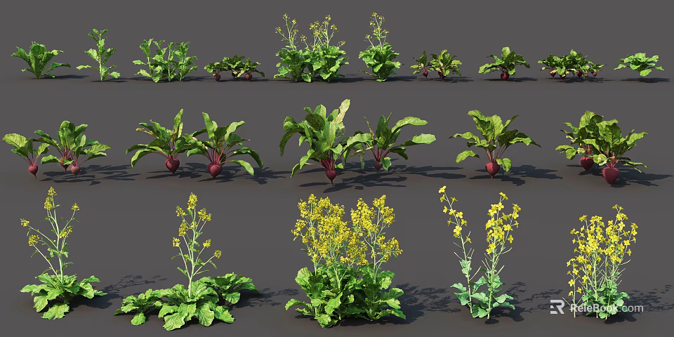 Various Fresh Vegetable Plants with Green Foliage and Yellow Blossoms on 3d model 