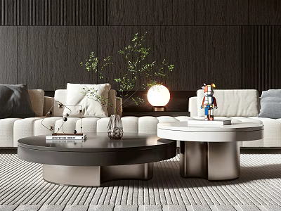 Modern Living Room Interior With Round Black And White Coffee Tables Green Plant And Lamp 3d model