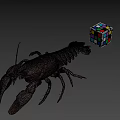 Whole Fresh Lobster Displayed with Colorful Rubik's Cube on Gray Background