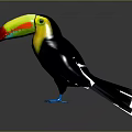 Toucan Isolated On Gray Background With Red Green Yellow Beak Blue Feet And Black Body