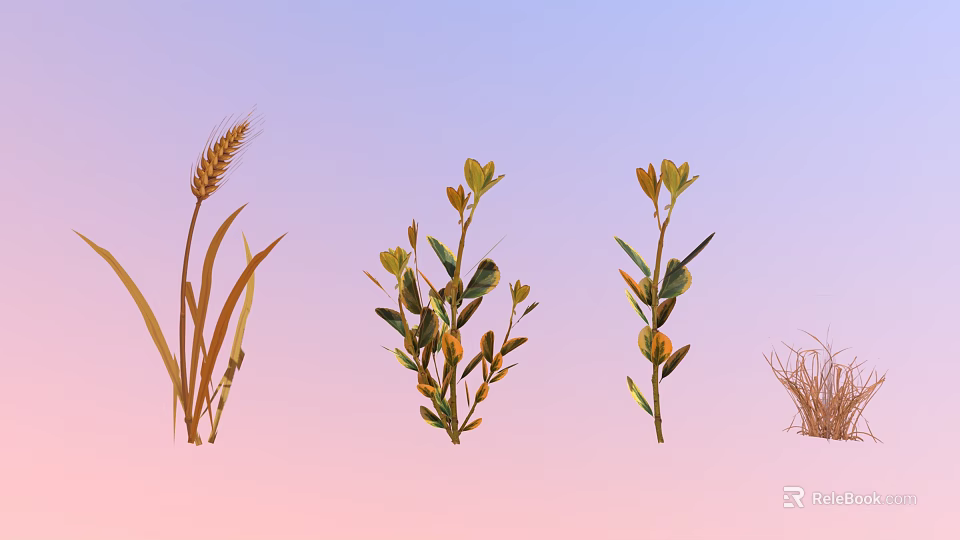 Wheat Plant And Small Shrubs With Green Leaves On Gradient Background 3d model 