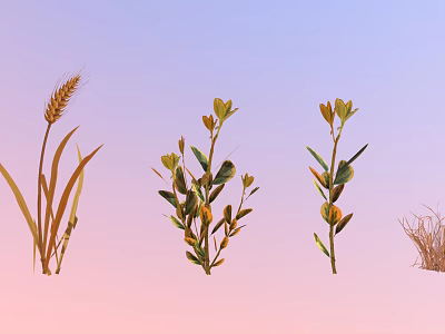 Wheat Plant And Small Shrubs With Green Leaves On Gradient Background 3d model