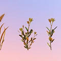 Wheat Plant And Small Shrubs With Green Leaves On Gradient Background 3d model