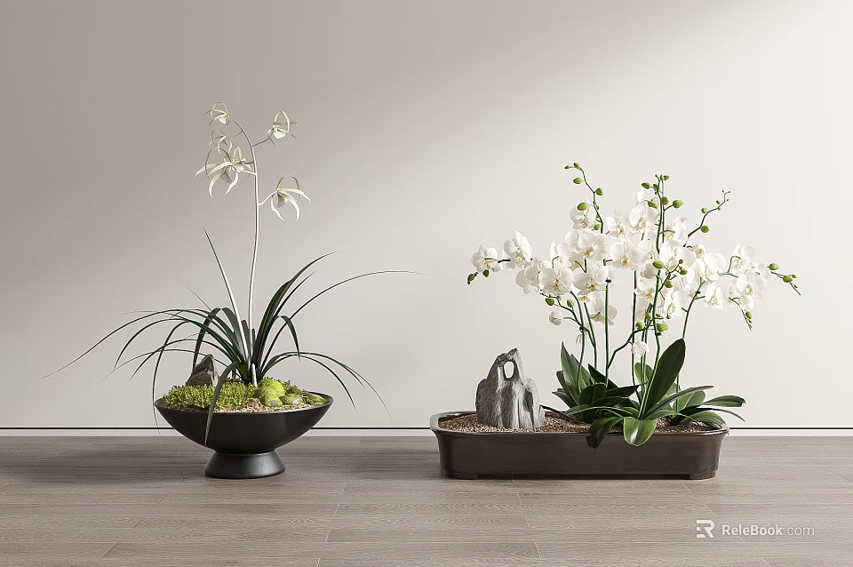 White Flowering Bonsai Potted Plants In Decorative Pots On Wooden Floor With Light Wall Backdrop 3d model 