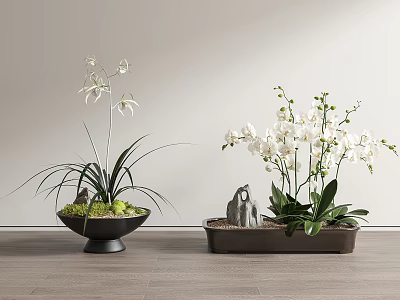 White Flowering Bonsai Potted Plants In Decorative Pots On Wooden Floor With Light Wall Backdrop 3d model
