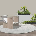 Stylish Leisure Chair On Round Rug With Green Plants And Warm Sunlight