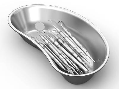 Stainless Steel Tray With Professional Dental Medical Instruments And Tools 3d model