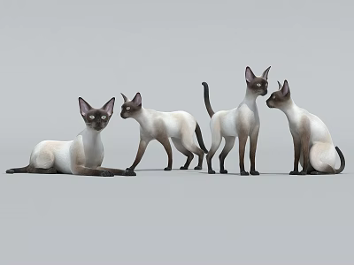 Multiple Reptiles In Various Postures Sitting Standing And Lying On Grey Background 3d model