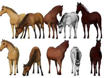 Collection of Different Colored Horses in Various Standing and Grazing Poses 3d model