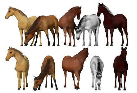 Modern Horse Combination 3d model