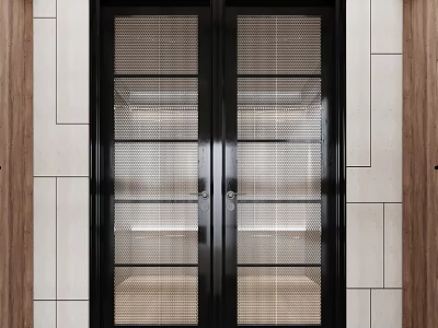 Modern Black Frame Double Doors With Grid Glass Light Walls And Wooden Accents 3d model
