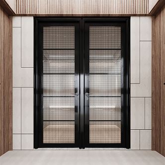 Modern double door glass double door Changhong glass door opposite door 3d model