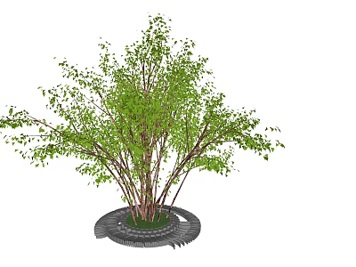 Circular Stone Tree Planter with Green Leafy Shrub and Natural Landscape Design 3d model