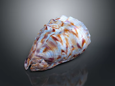 Colorful Shell With Organ Inspired Shape And Hair Like Surface Textures 3d model