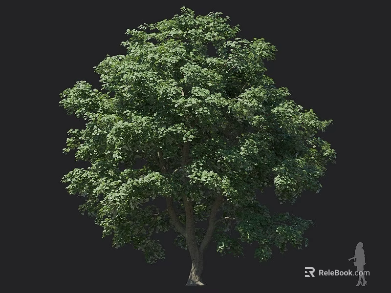Mature Arbor with Vibrant Green Leaves and Strong Trunk in Natural Setting 3d model 