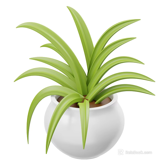 Healthy Indoor Green Plant With Long Fresh Green Leaves In White Ceramic Pot 3d model 