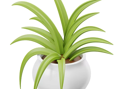 Healthy Indoor Green Plant With Long Fresh Green Leaves In White Ceramic Pot 3d model