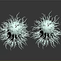 Detailed 3D Illustration of Bacteria Internal Structures With Hair Like Cilia