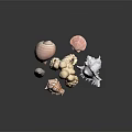 Marine Animal Seashells Collection Featuring Various Shapes Natural Patterns And Colorful Textures