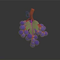 Fresh Ripe Purple Grapes With Green Leaves And Brown Vine On Dark Background
