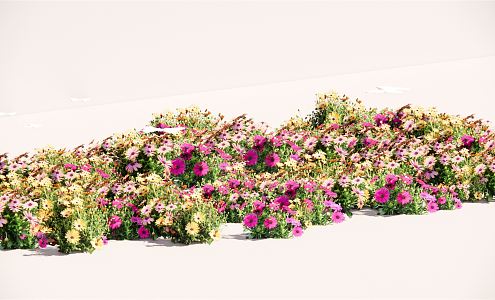 Modern Plant Flower Border Plant Group 3d model