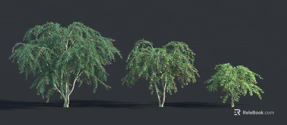 Green Shrubs With Drooping Branches And Lush Foliage For Landscaping Projects 3d model 