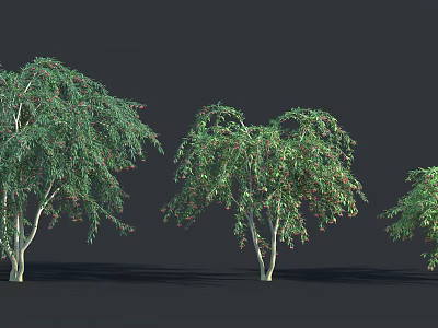 Green Shrubs With Drooping Branches And Lush Foliage For Landscaping Projects 3d model