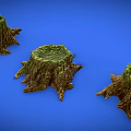 Wooden Stone Stumps With Green Moss Three Decorative Pieces On Blue Background