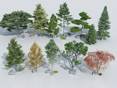 Diverse Ornamental Trees Collection for Landscape Design With Evergreen and Deciduous Varieties 3d model