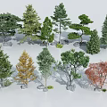 Diverse Ornamental Trees Collection for Landscape Design With Evergreen and Deciduous Varieties