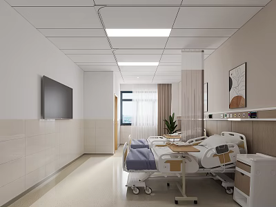 Hospital Ward Interior With Two Beds Bedside Tables TV Window And Plant 3d model