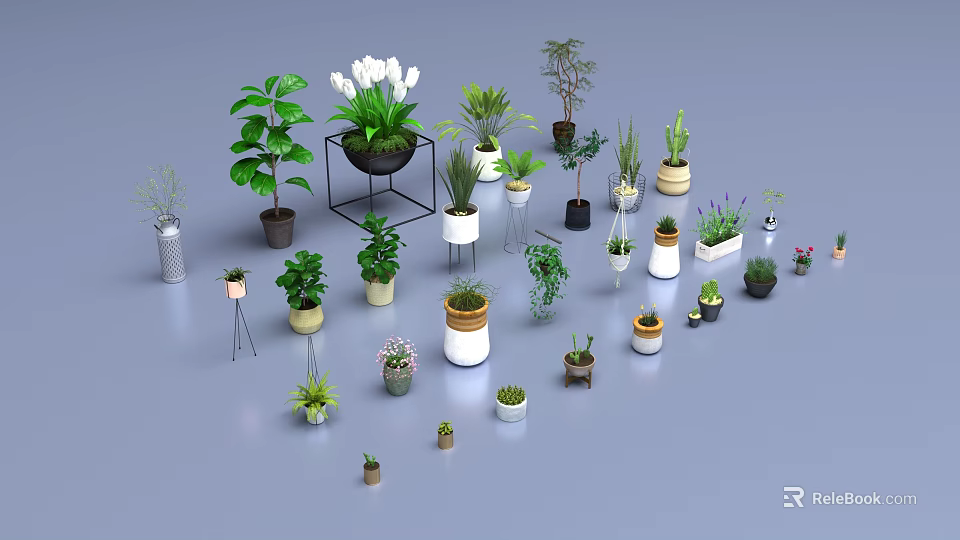 Diverse Potted Plants Collection With Various Sizes Shapes Green And Flowering Varieties 3d model 