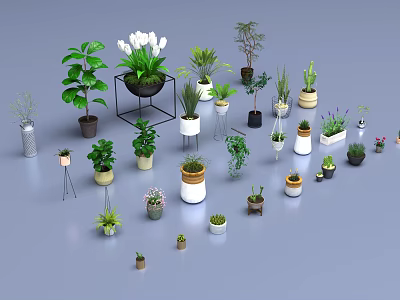 Diverse Potted Plants Collection With Various Sizes Shapes Green And Flowering Varieties 3d model