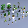 Diverse Potted Plants Collection With Various Sizes Shapes Green And Flowering Varieties